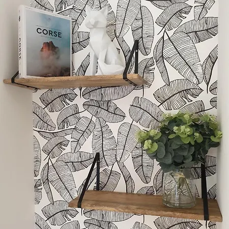 Domaine U Filanciu - Casa Ghjulia - Centru Di Corsica