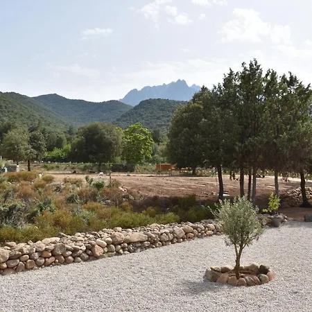 Domaine U Filanciu - Casa Ghjulia - Centru Di Corsica
