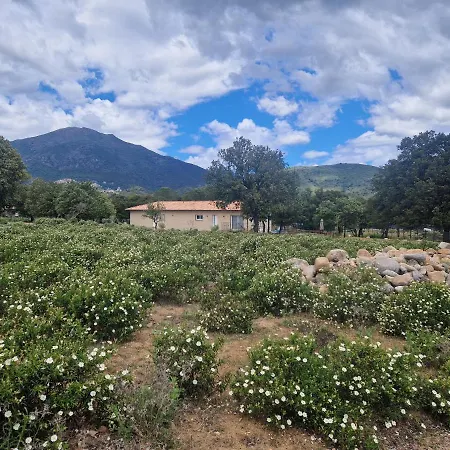 Domaine U Filanciu, Maison Ghjulia Avec Piscine - Centre Corse