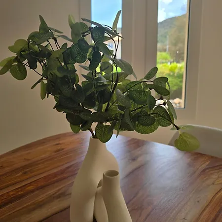 Domaine U Filanciu - Casa Ghjulia - Centru Di Corsica