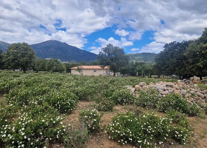 Domaine U Filanciu - Casa Ghjulia - Centru Di Corsica